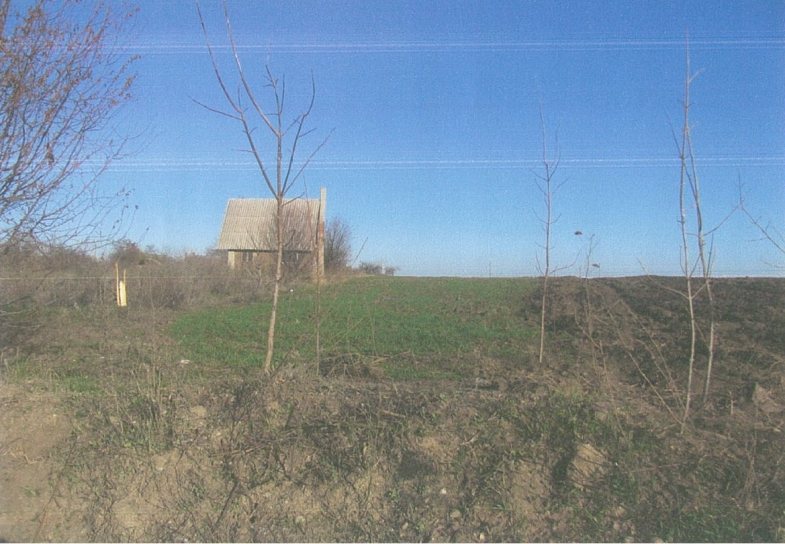 Teren intravilan 989,04 ,mp